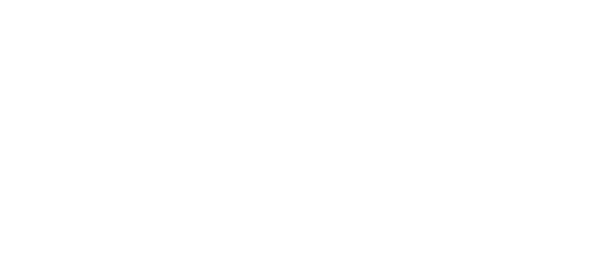 Dr. Punt